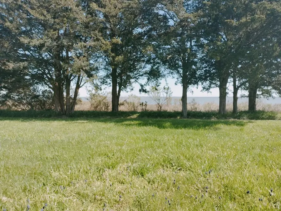 Lot 3 Laughing Gull Wave, Accomac, VA 23301 - Image #2