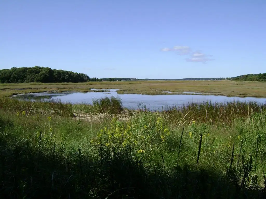 0 Alicato Rd, Parksley, VA 23421 - Image #1