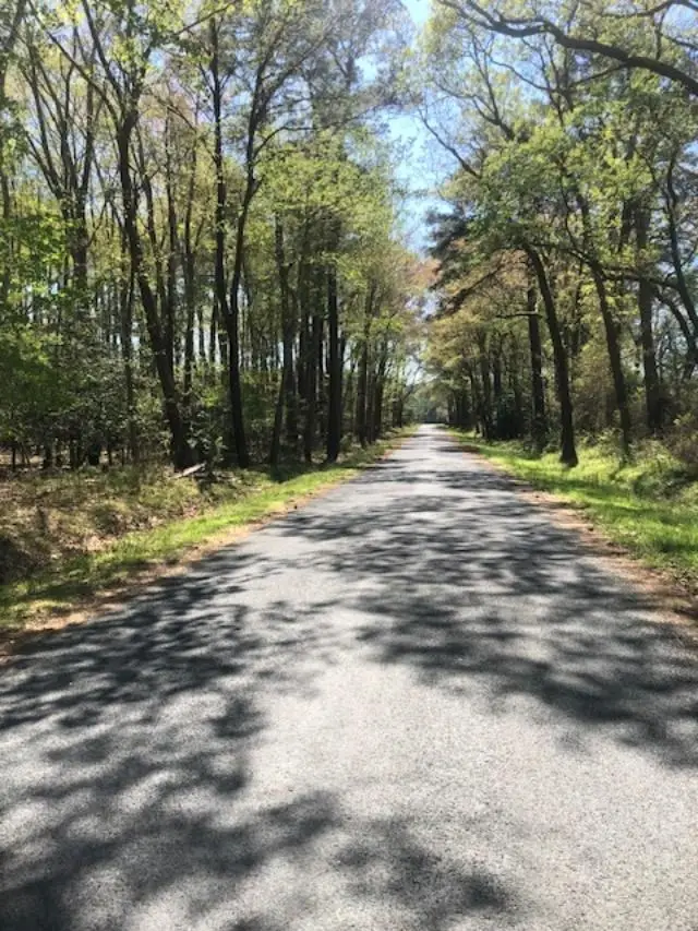 0 Alicato Rd, Parksley, VA 23421 - Image #2