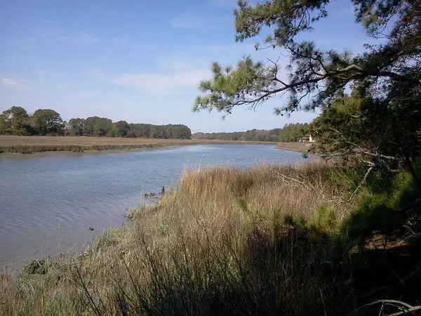 0 Alicato Rd, PARKSLEY, VA 23421