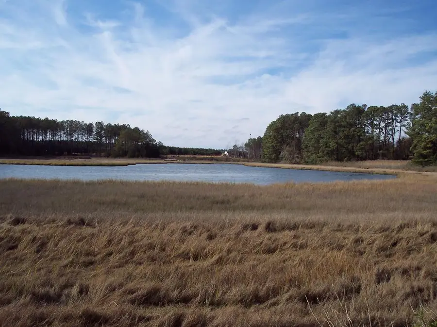 Lot #11 Metompkin Rd, Gargatha, VA 23421 - Image #3