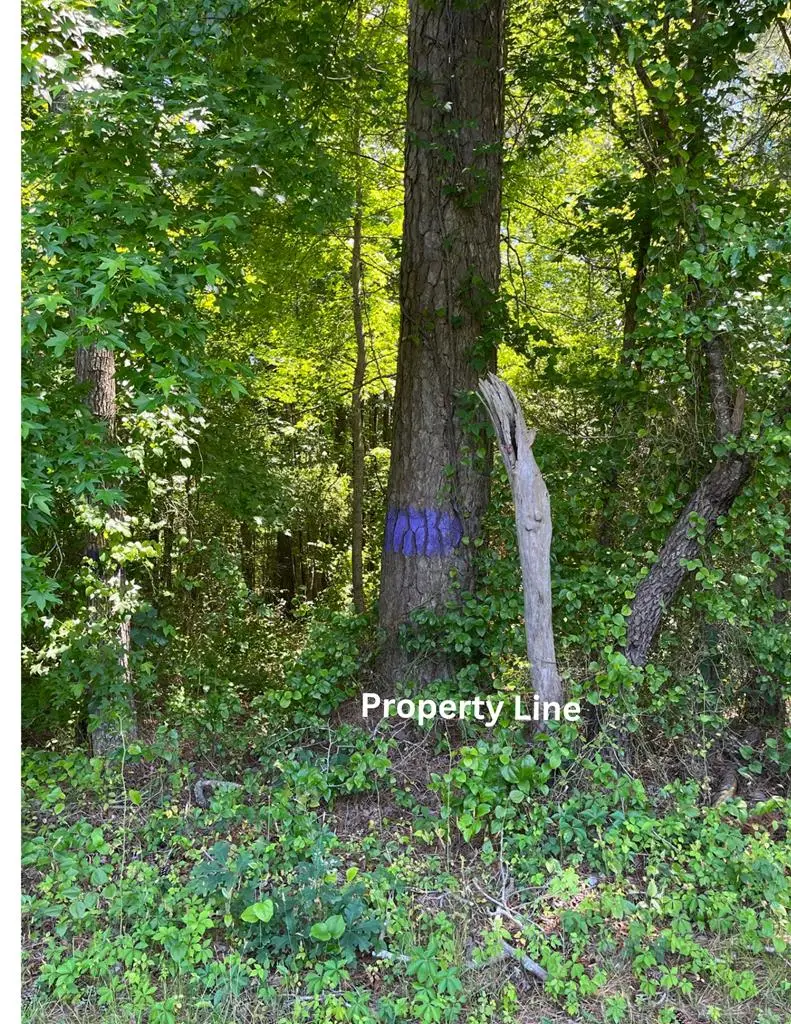 15001 Winterville Rd, Bloxom, VA 23308 - Image #2