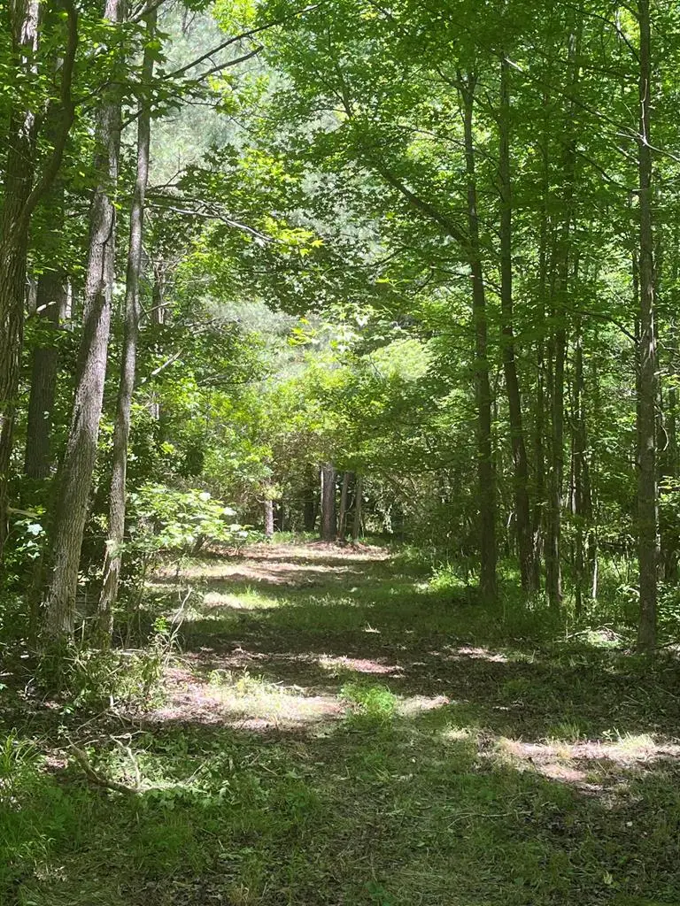 15001 Winterville Rd, Bloxom, VA 23308 - Image #3