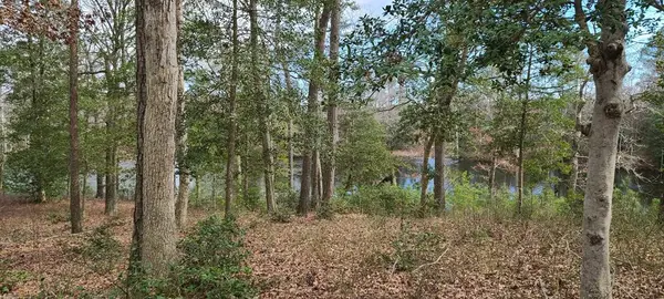 26 & 27 Olde Mill Lane, NEW CHURCH, VA 23415