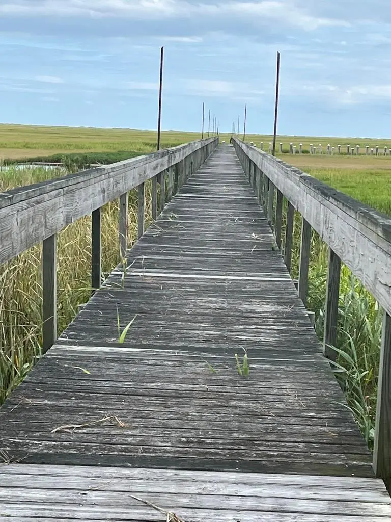 Lot 57 Lewis Lane, Parksley, VA 23421 - Image #3