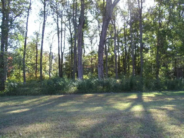 Lot 111 Coventon Lane, Horntown, VA 23395 - Image #1