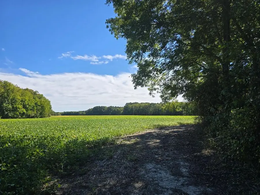 1 Justisville Road, Parksley, VA 23420 - Image #2