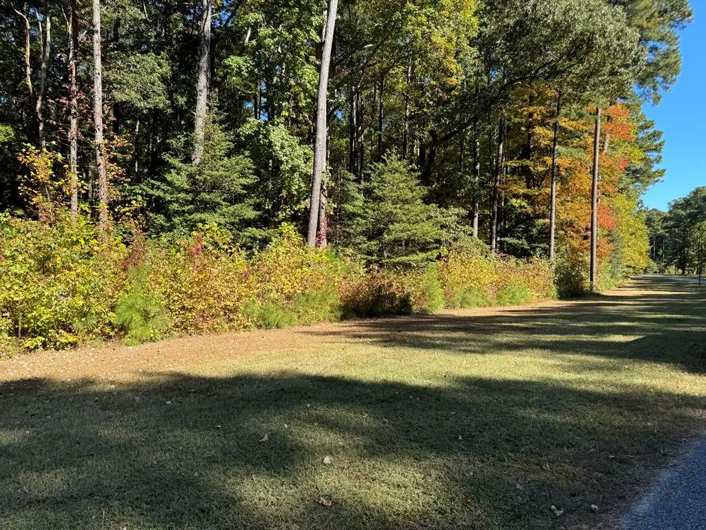 Lot 125 Coventon Lane, Horntown, VA 23395 - Image #1