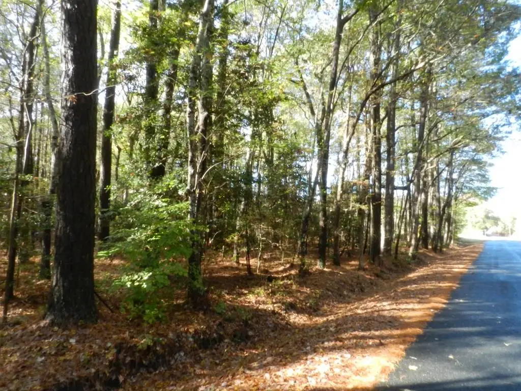 Lot E2 Battle Point Rd, Jamesville, VA 23398 - #1