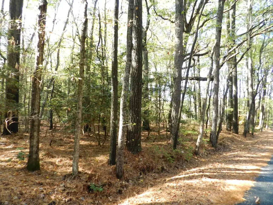 Lot E2 Battle Point Rd, Jamesville, VA 23398 - #2
