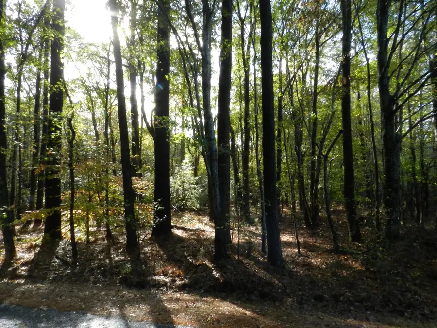 Lot E2 Battle Point Rd, Jamesville, VA 23398 - #3