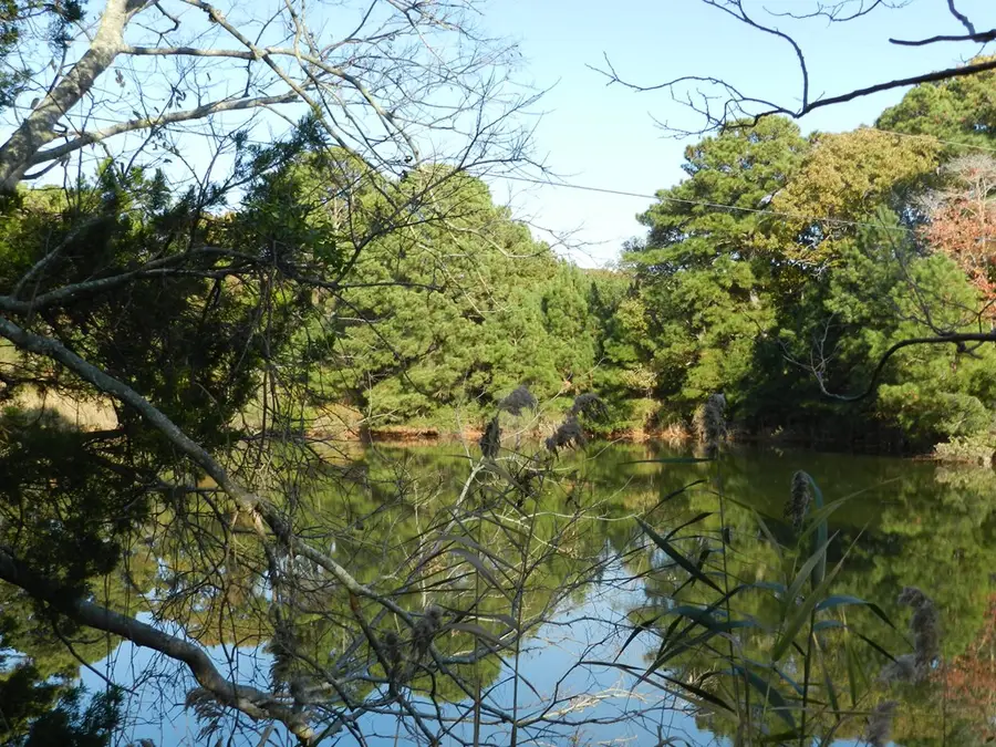 Lot 3&X Barlow Creek Ln., Eastville, VA 23347 - Image #3