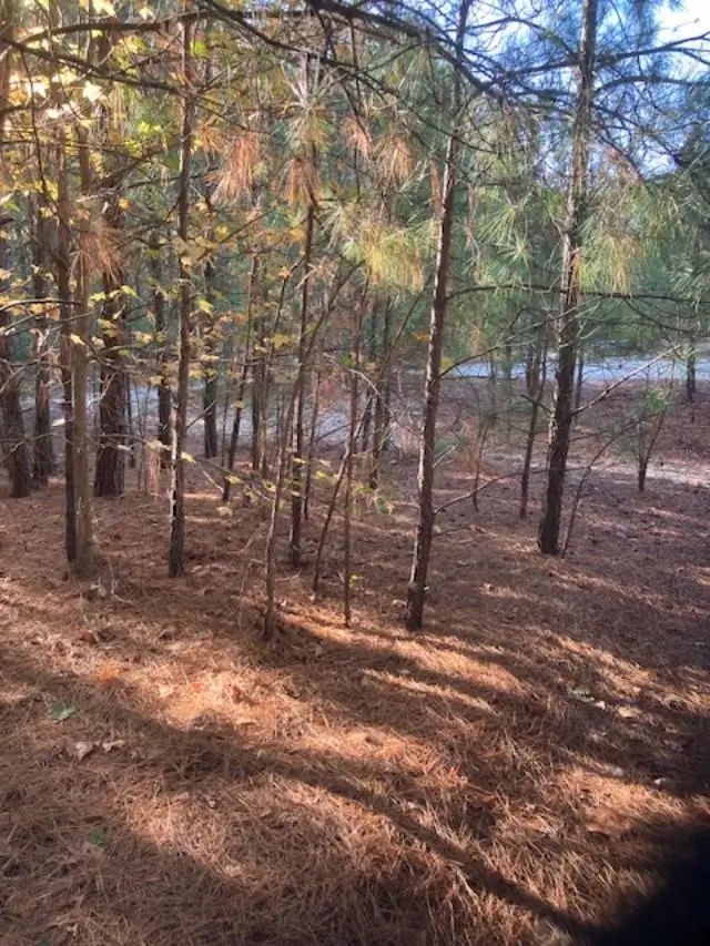 0 Cherry Hill Rd, Accomac, VA 23301 - Image #2