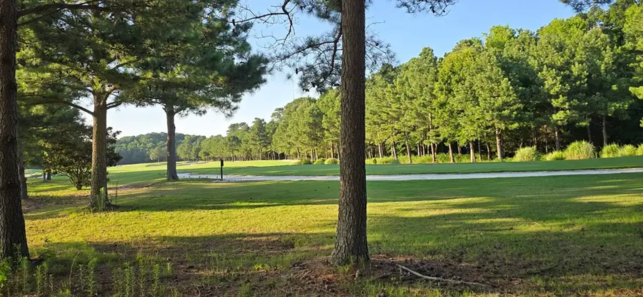 100 Golden Bear Circle, Cape Charles, VA 23310 - Image #2