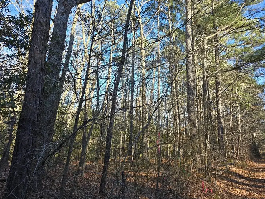 0 Airport Dr, Melfa, VA 23410 - Image #3