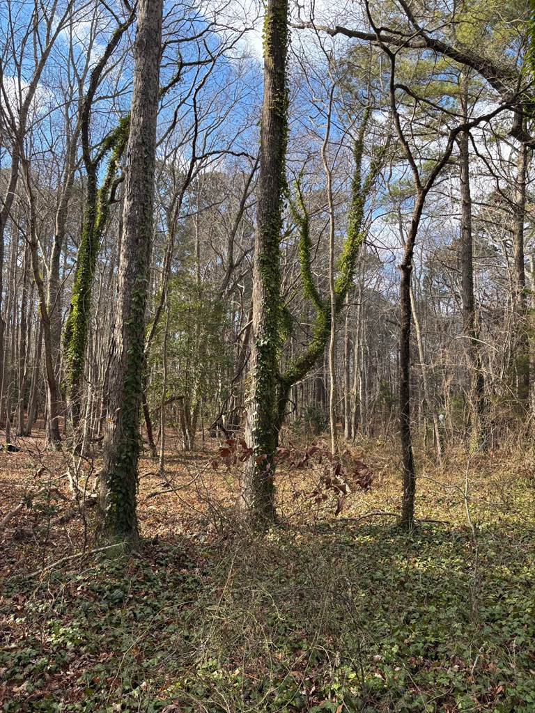 Lot 18 Saltworks Rd, Exmore, VA 23350 - Image #2