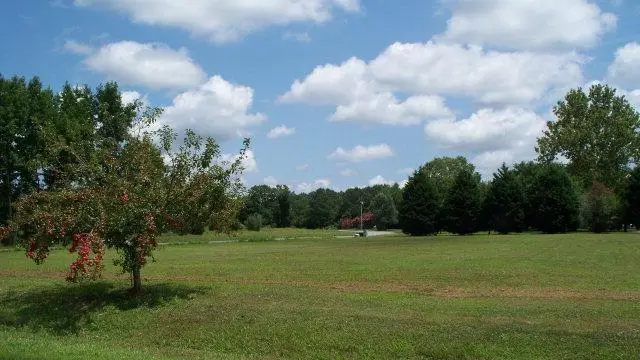 LOT 1 Nandua Heights, Onancock, VA 23417 - Image #1
