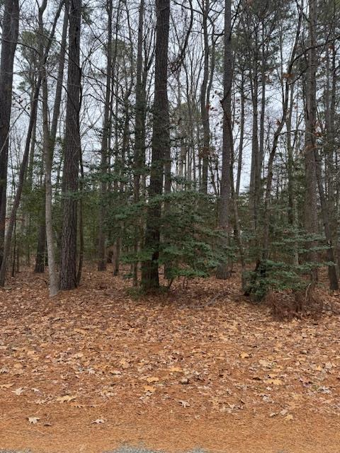 Lot 74 Pieces Of Eight, Captains Cove, VA 23365 - Image #1