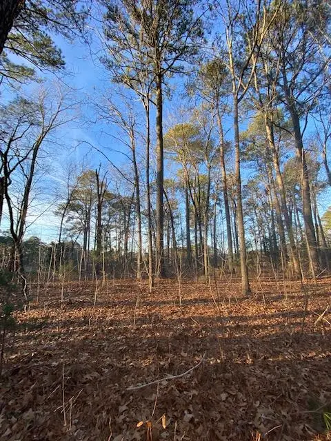 lot 11 Barnes Cir, Parksley, VA 23421 - Image #1