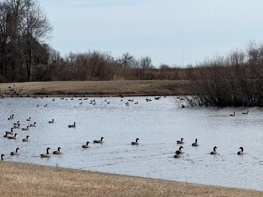 Lot 112 Coventon Lane, Horntown, VA 23395 - Image #3