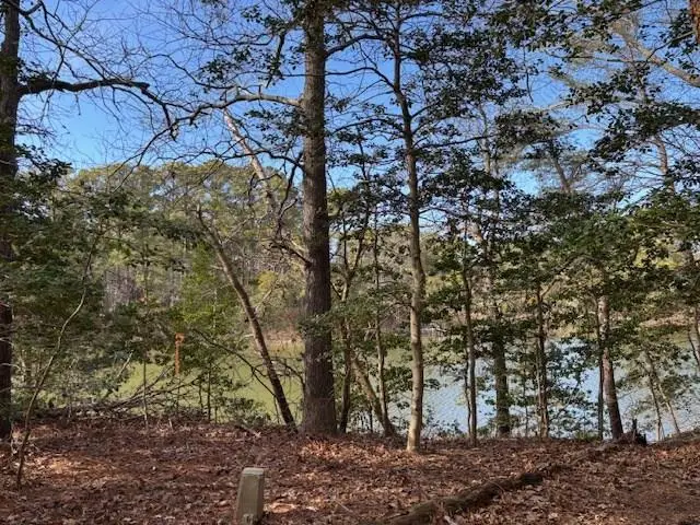 1 Church Neck Rd, Machipongo, VA 23405 - Image #1