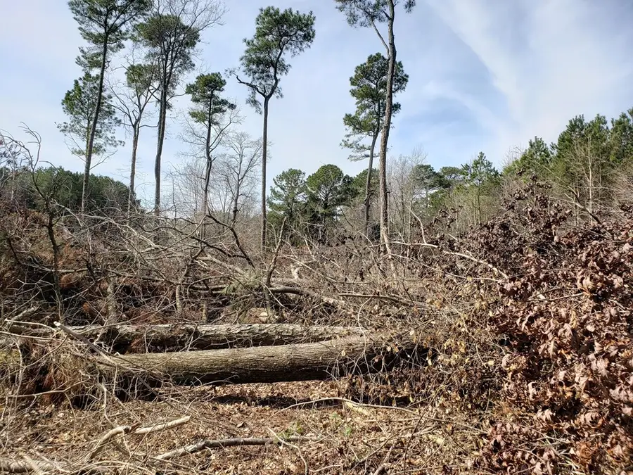 Lot 9 Undeveloped, Bloxom, VA 23308 - Image #3