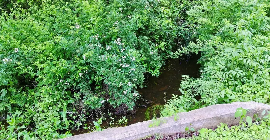 0 Serenity Ln, Onancock, VA 23417 - Image #3