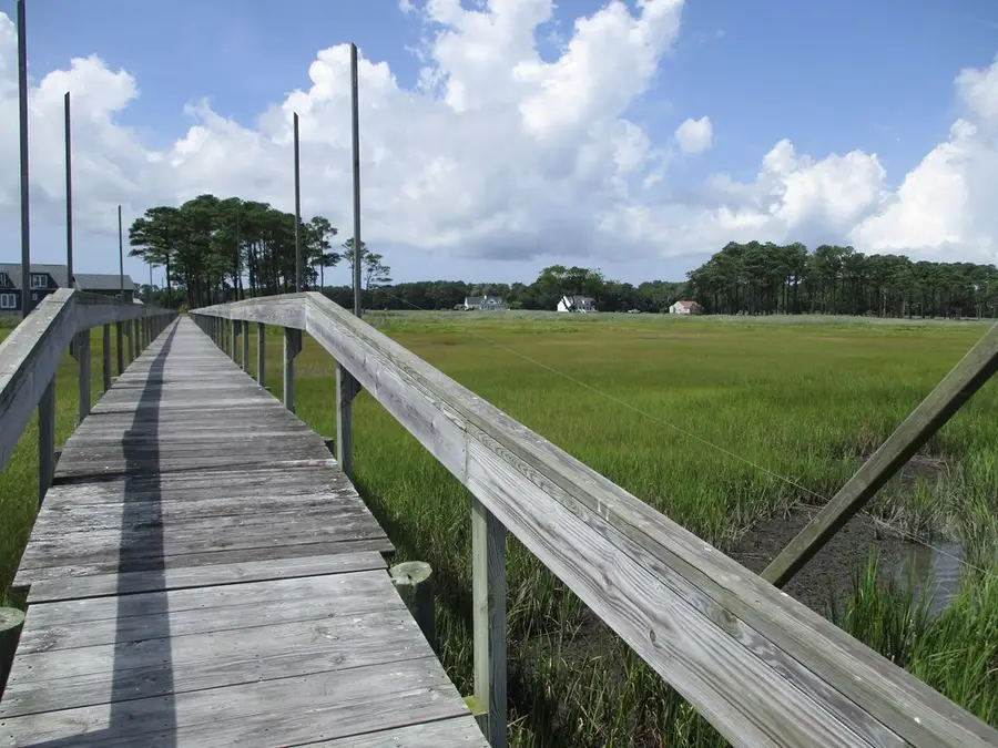 Lot 63 Lewis Lane, Parksley, VA 23421 - Image #3