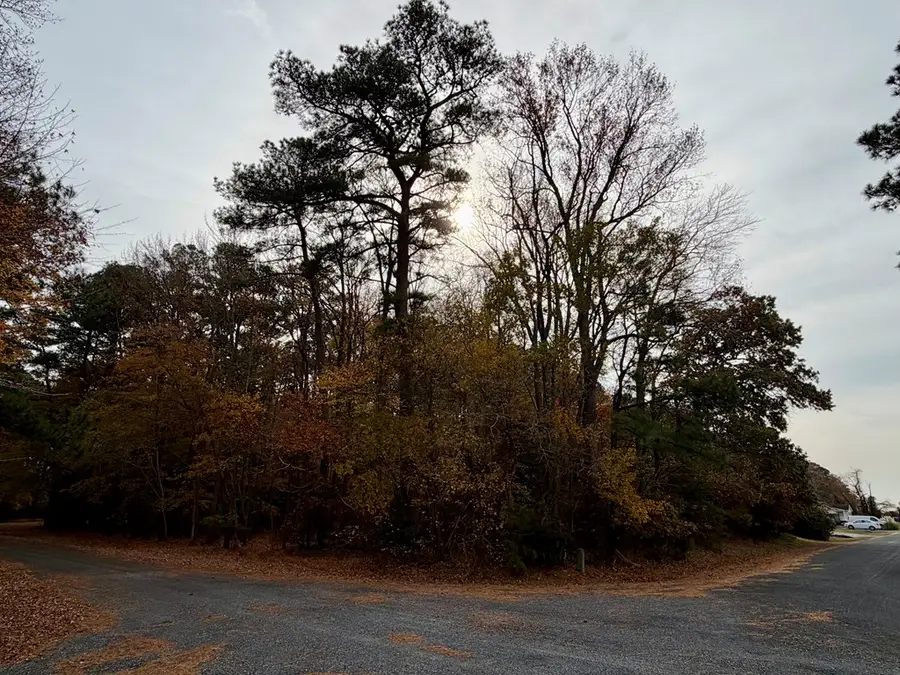 Lot 128 Octopus, Greenbackville, VA 23356 - Image #3