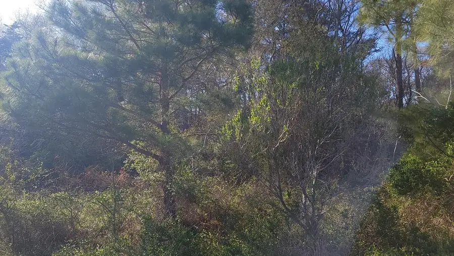 Lot 7 Liberty Dr, Mappsville, VA 23407 - Image #2