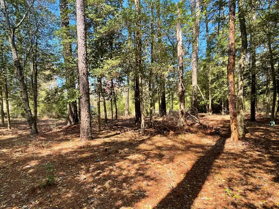 Lot 3 Oceanview Court, Accomac, VA 23301 - Image #3