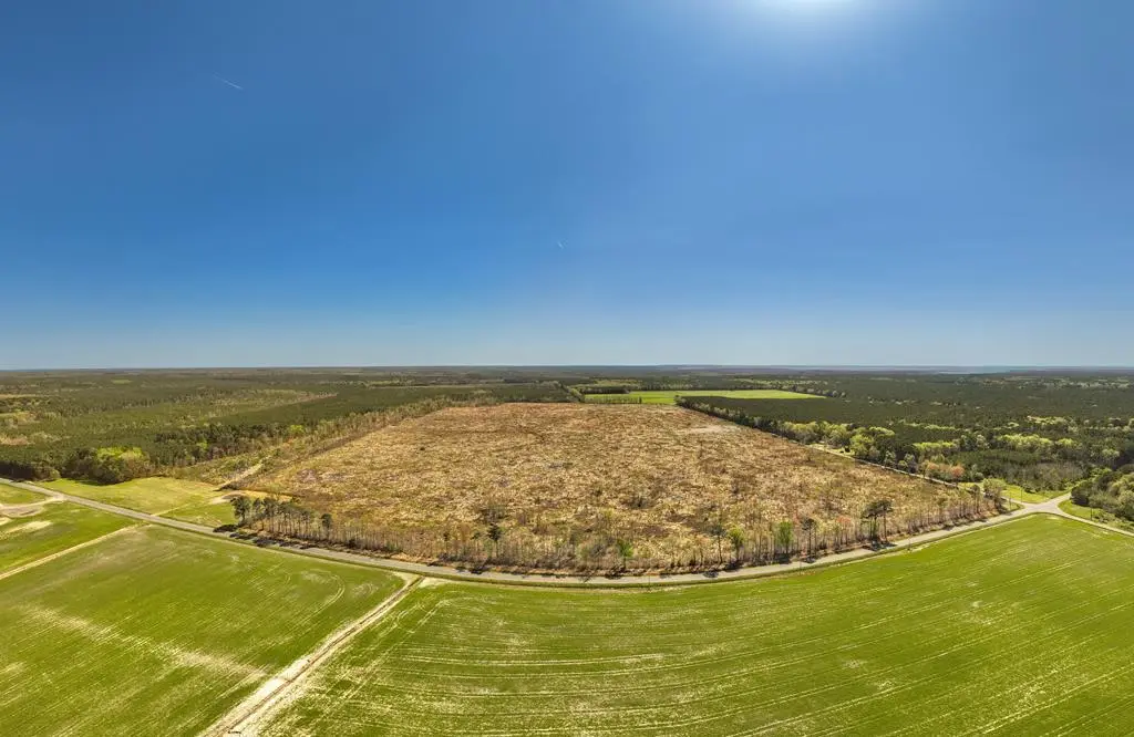 41 Saxis Rd, Temperanceville, VA 23442 - #1