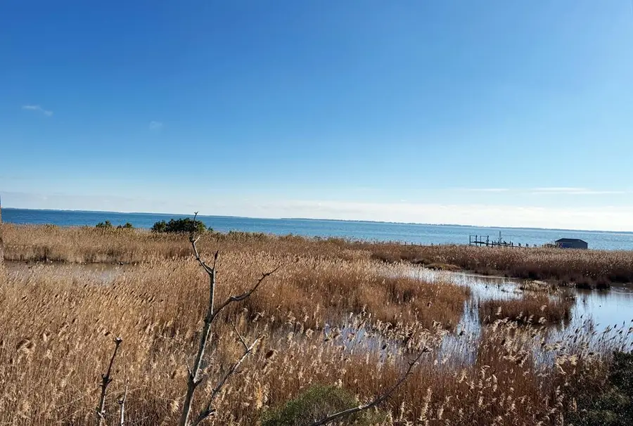 Lot 718 Castaway Dr, Greenbackville, VA 23356 - #3