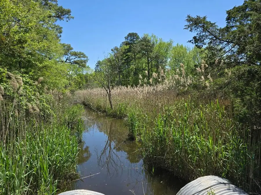 0 Guilford Rd, Bloxom, VA 23308 - Image #2