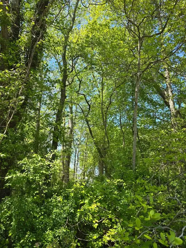 0 Winterville Rd, BLOXOM, VA 23308