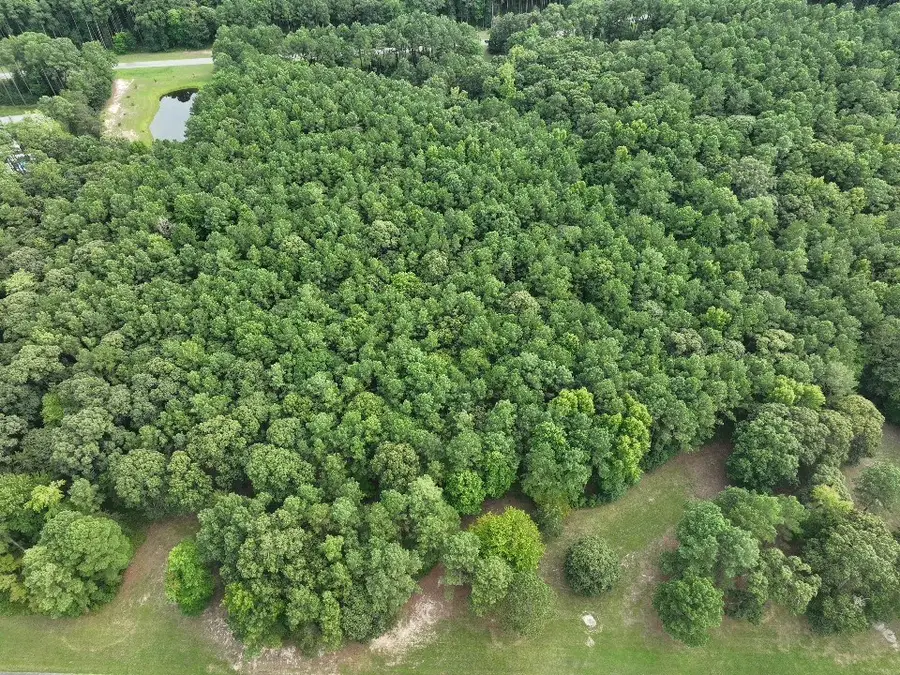 Lot 37 Corbin Hall Ln, Horntown, VA 23395 - Image #3