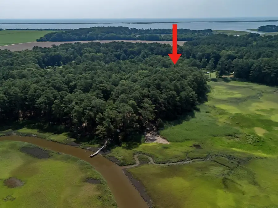 LOT 24 Barnes Cir, Parksley, VA 23421 - Image #3