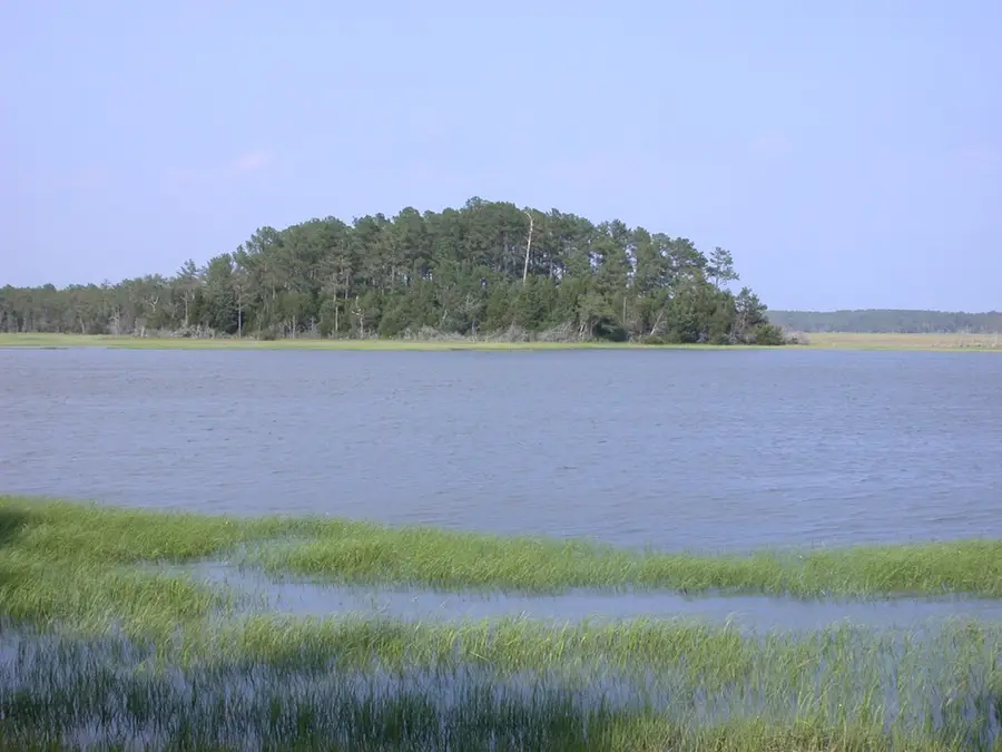 143 acre Rivers Edge Way, Quinby, VA 23423 - Image #3