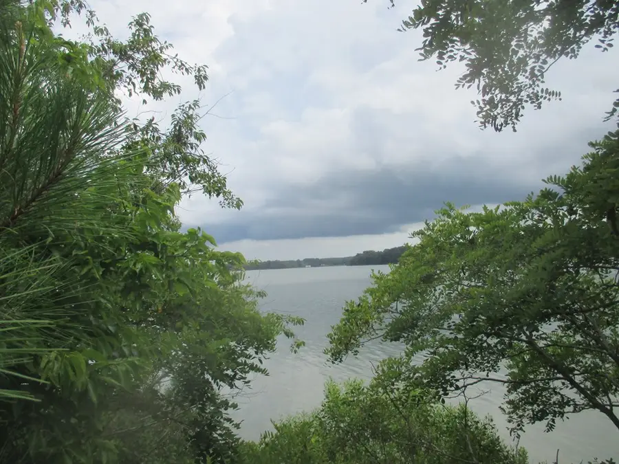 6081 Creek Ct, Jamesville, VA 23398 - Image #3