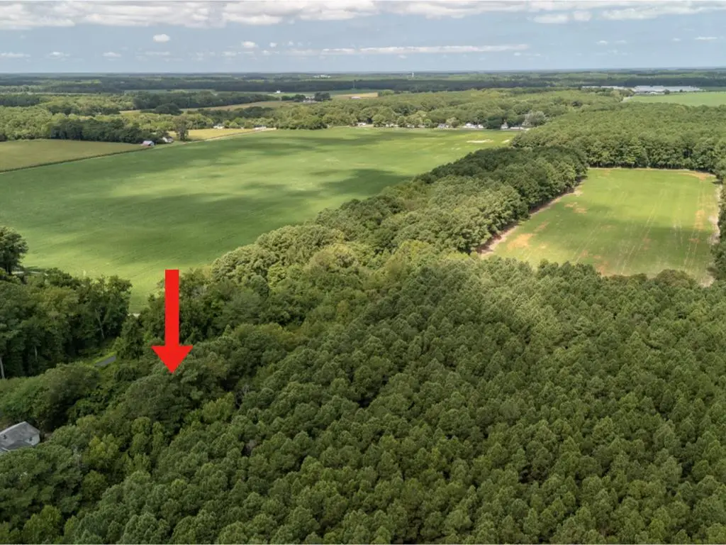 Lot 10 Whites Neck Rd, Parksley, VA 23421 - Image #1