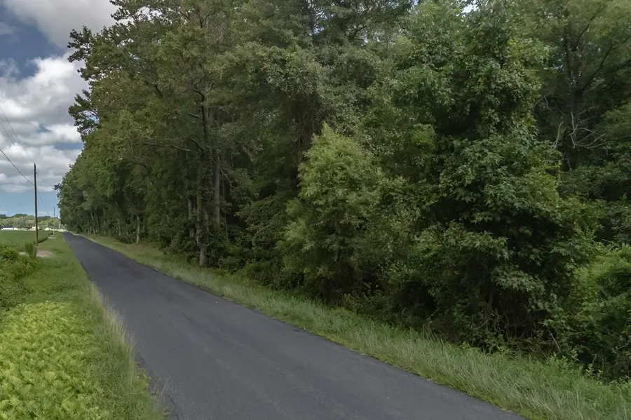 Lot 11 Whites Neck Rd, Parksley, VA 23421 - Image #2