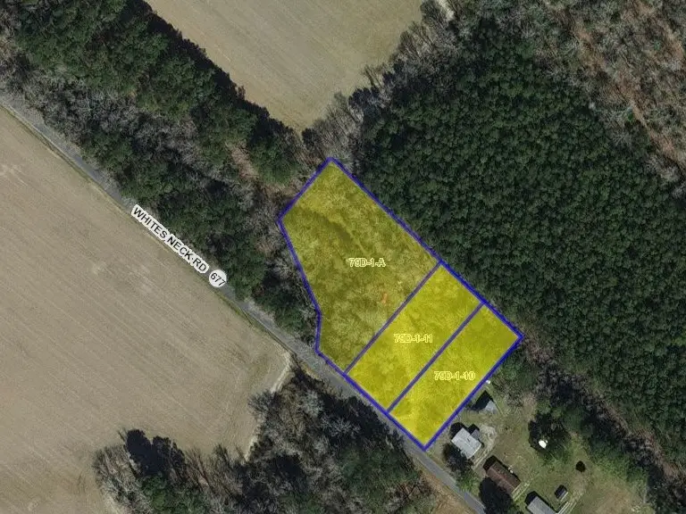 2.35 AC Whites Neck Rd, Parksley, VA 23421 - Image #2
