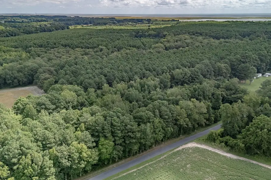 2.35 AC Whites Neck Rd, Parksley, VA 23421 - Image #3