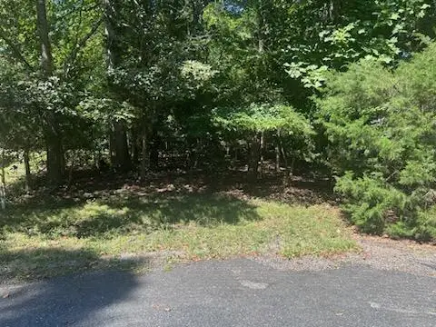 Lot 2469 Bounty Ct, Greenbackville, VA 23356 - Image #1