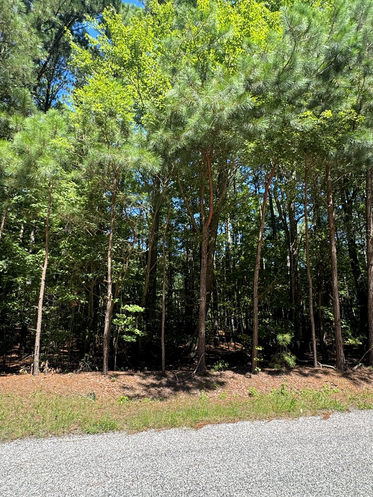 Lot 8 Peaceful Pond Dr, Jamesville, VA 23398 - Image #3