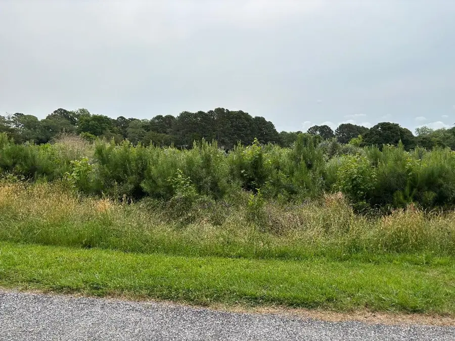 Lot 42 Mallard Ln, Machipongo, VA 23405 - Image #3