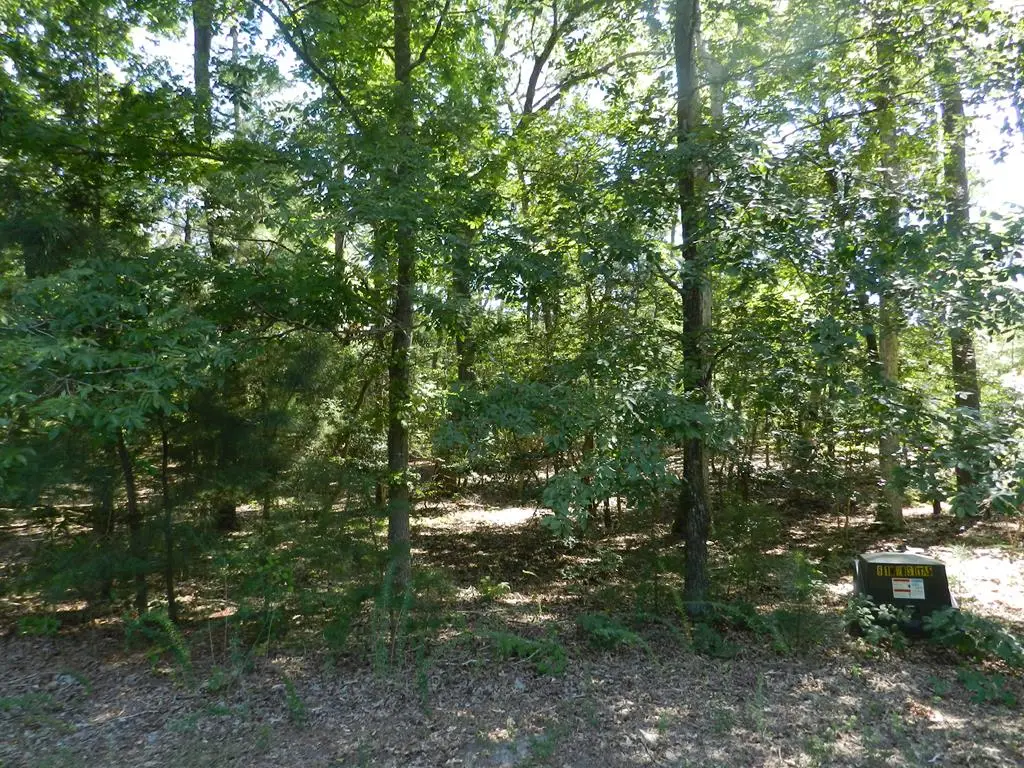 Lot 13 Wilsonia Shores Dr, Machipongo, VA 23405 - Image #1