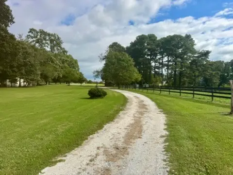 0 Atlantic Rd, Assawoman, VA 23302 - Image #3