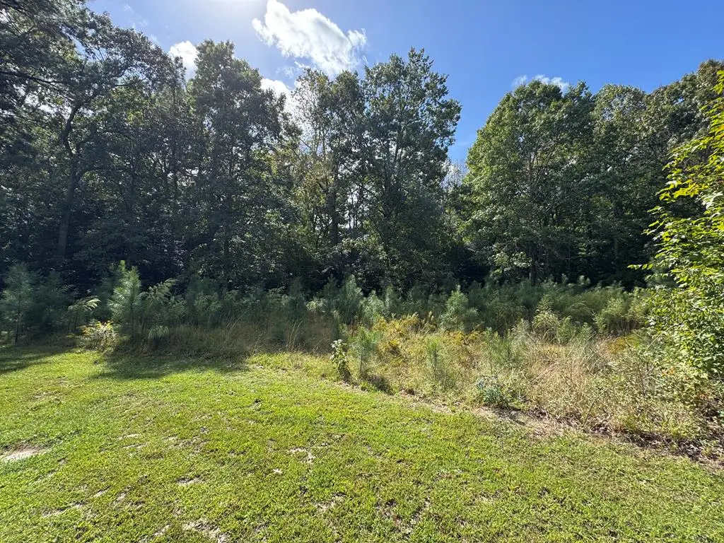 Lot 3B Branch Road, Temperanceville, VA 23442 - Image #1