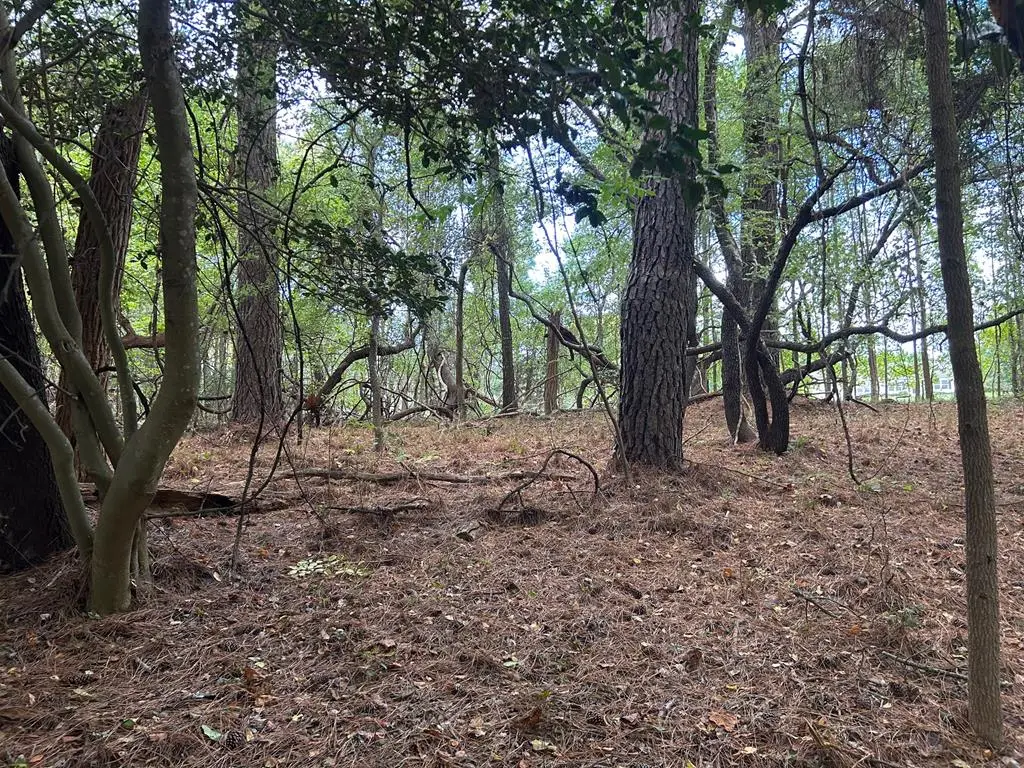 Lot 74 Heron Dr, Machipongo, VA 23405 - Image #1